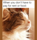 Screenshot_20220320-150823.png