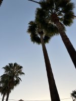 IMG_0439.JPG