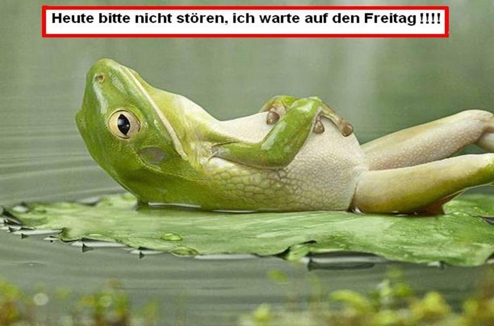 Motto_des_Tages.jpg